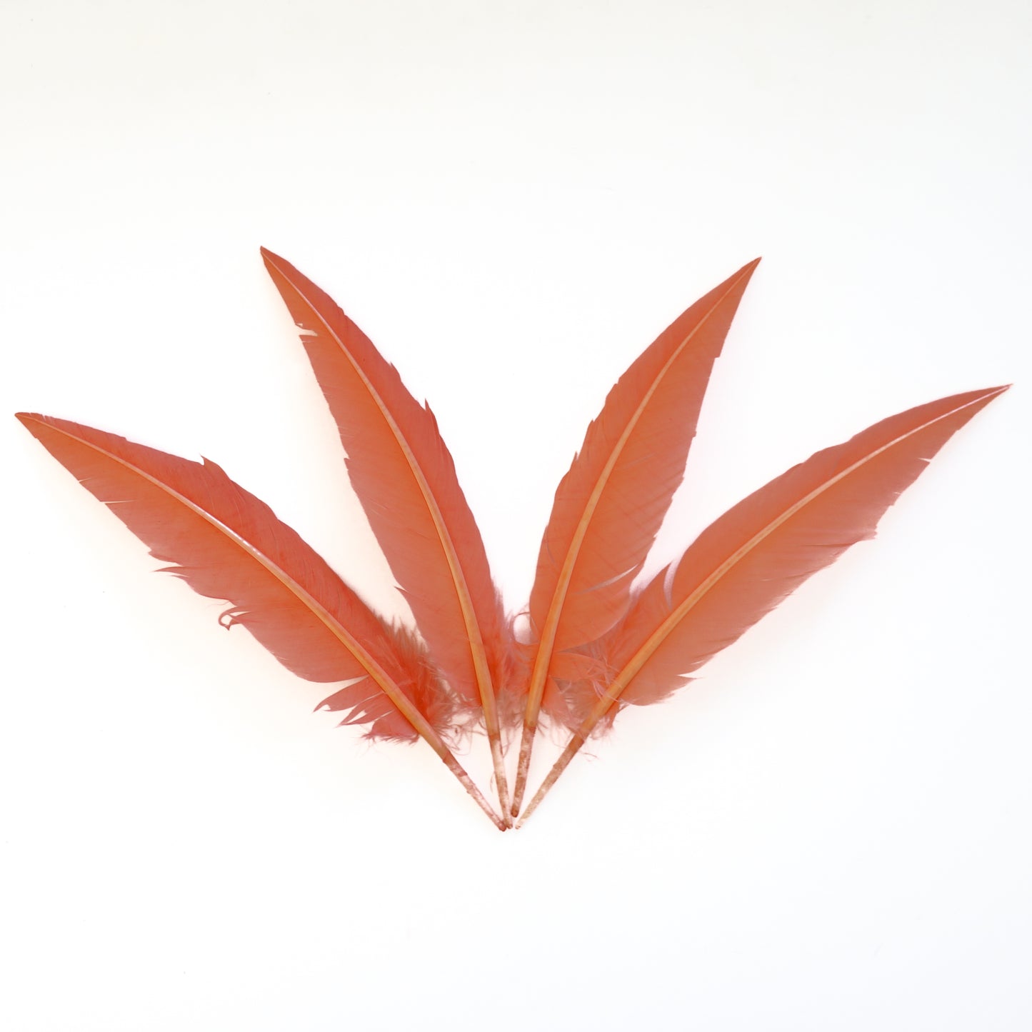 Coral Dagger Turkey Quill Feathers 9-12"