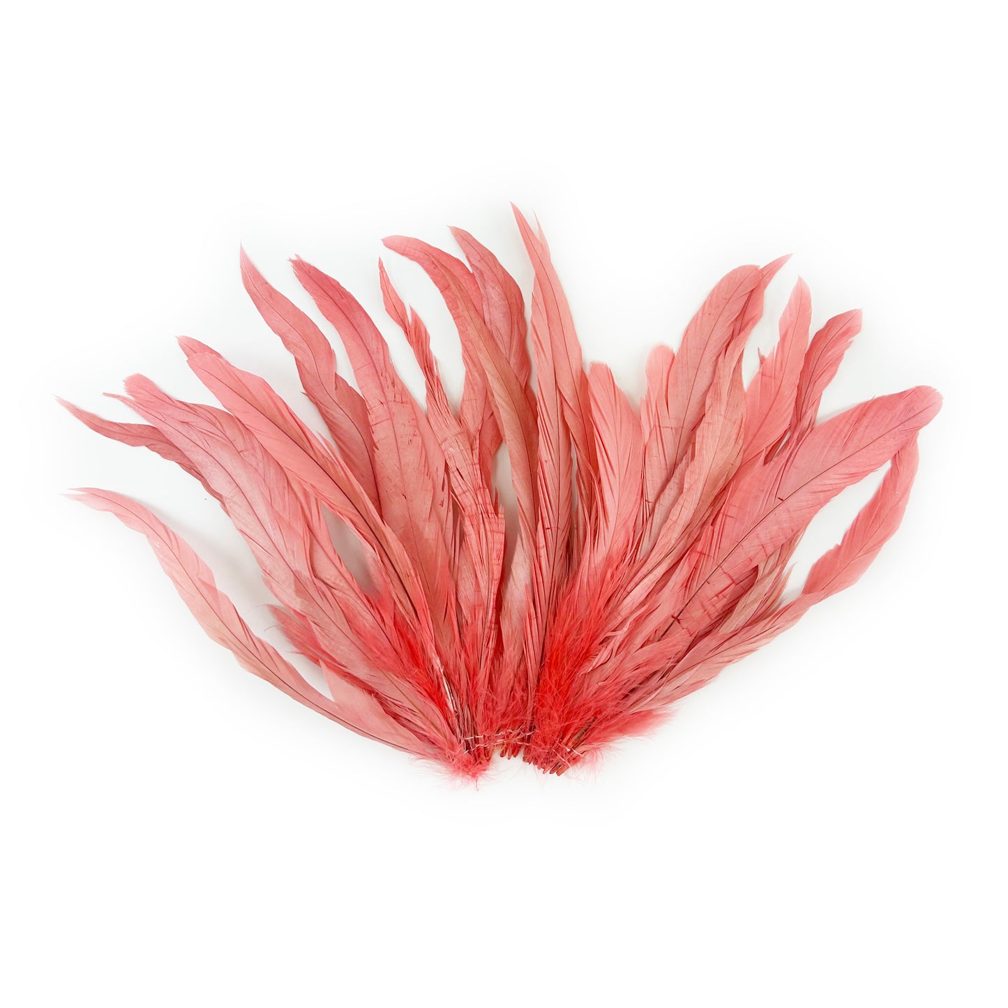 ROOSTER COQUE TAIL FEATHERS BLEACH DYED 7-10” - 25 PC/PKG - Coral