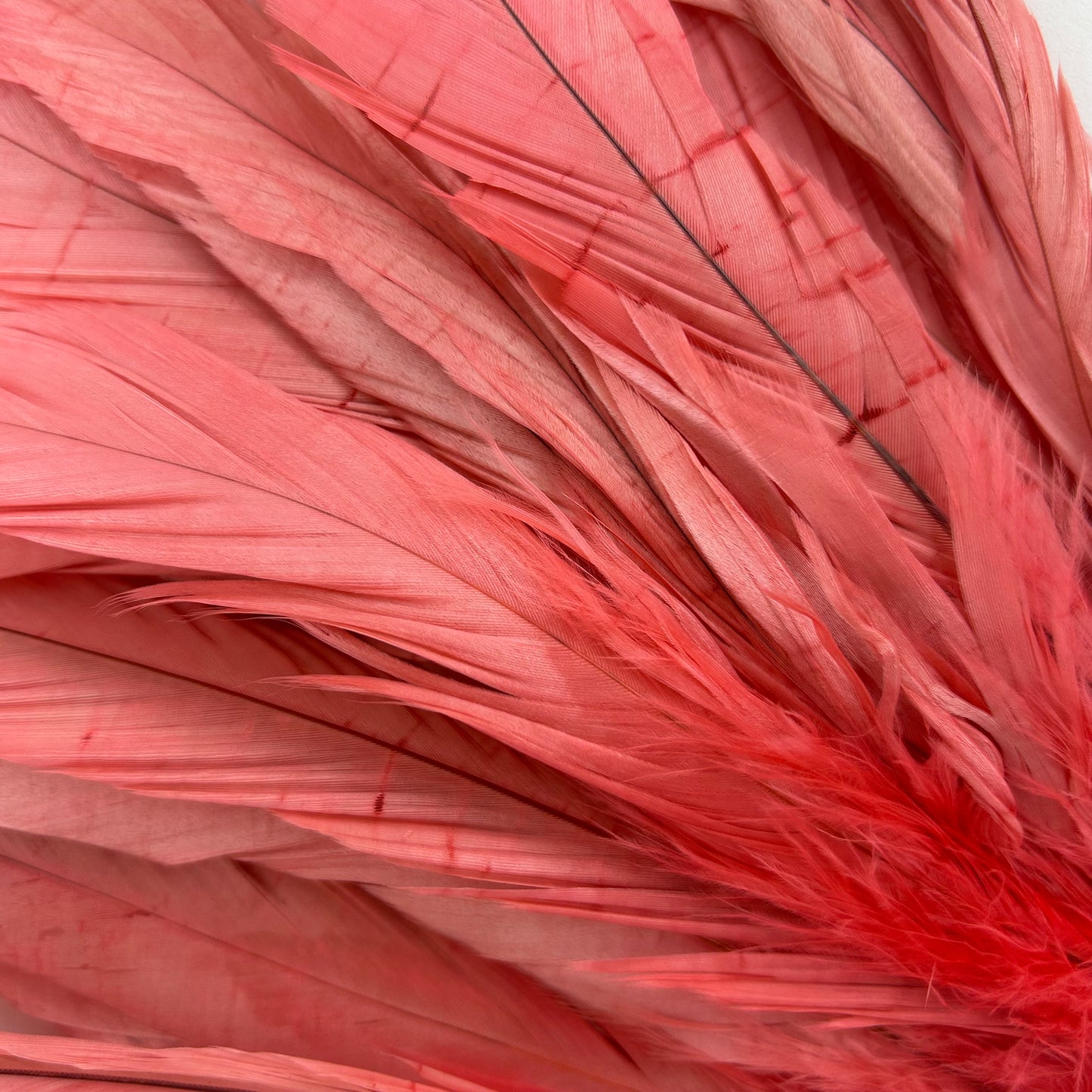 ROOSTER COQUE TAIL FEATHERS BLEACH DYED 7-10” - 25 PC/PKG - Coral