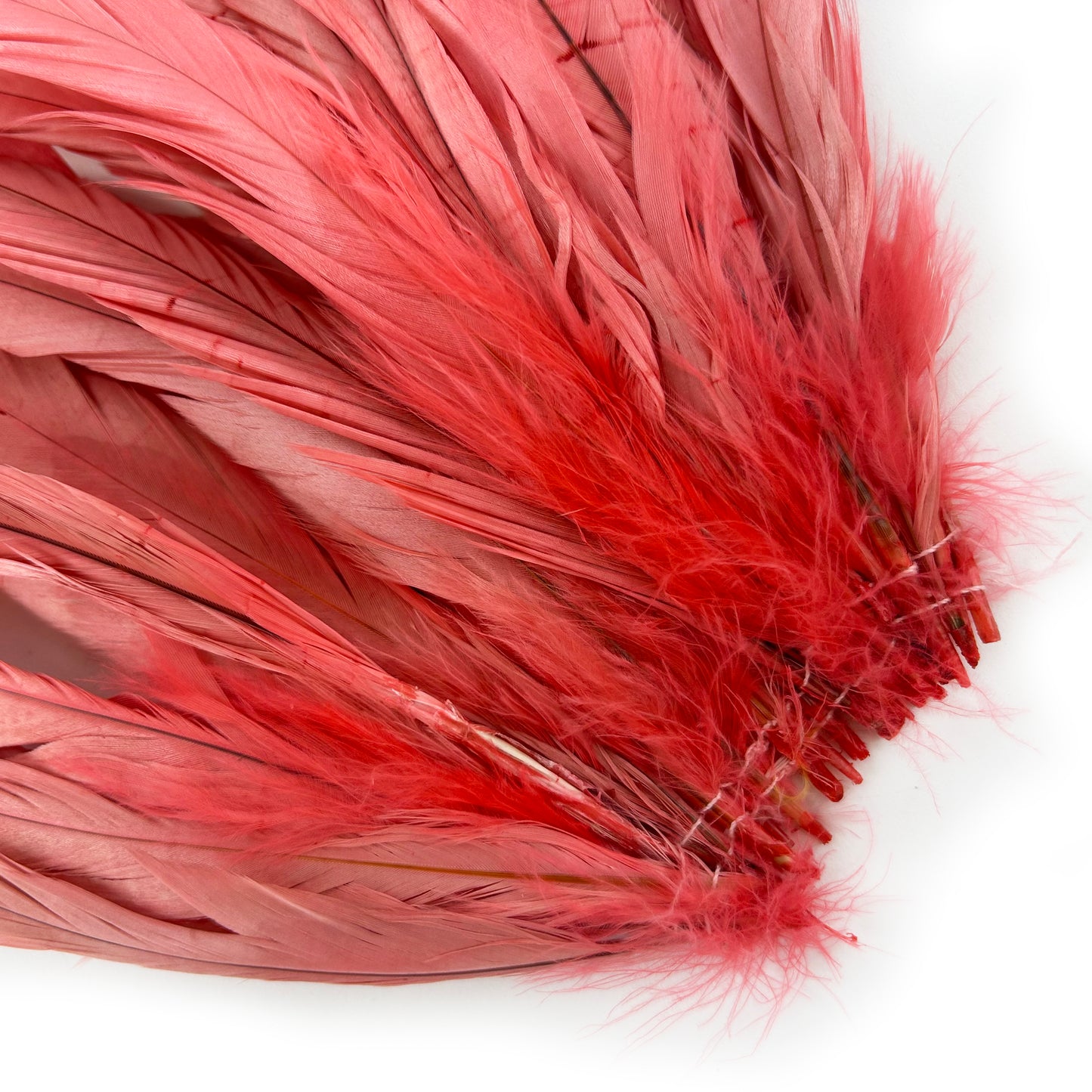 ROOSTER COQUE TAIL FEATHERS BLEACH DYED 7-10” - 25 PC/PKG - Coral