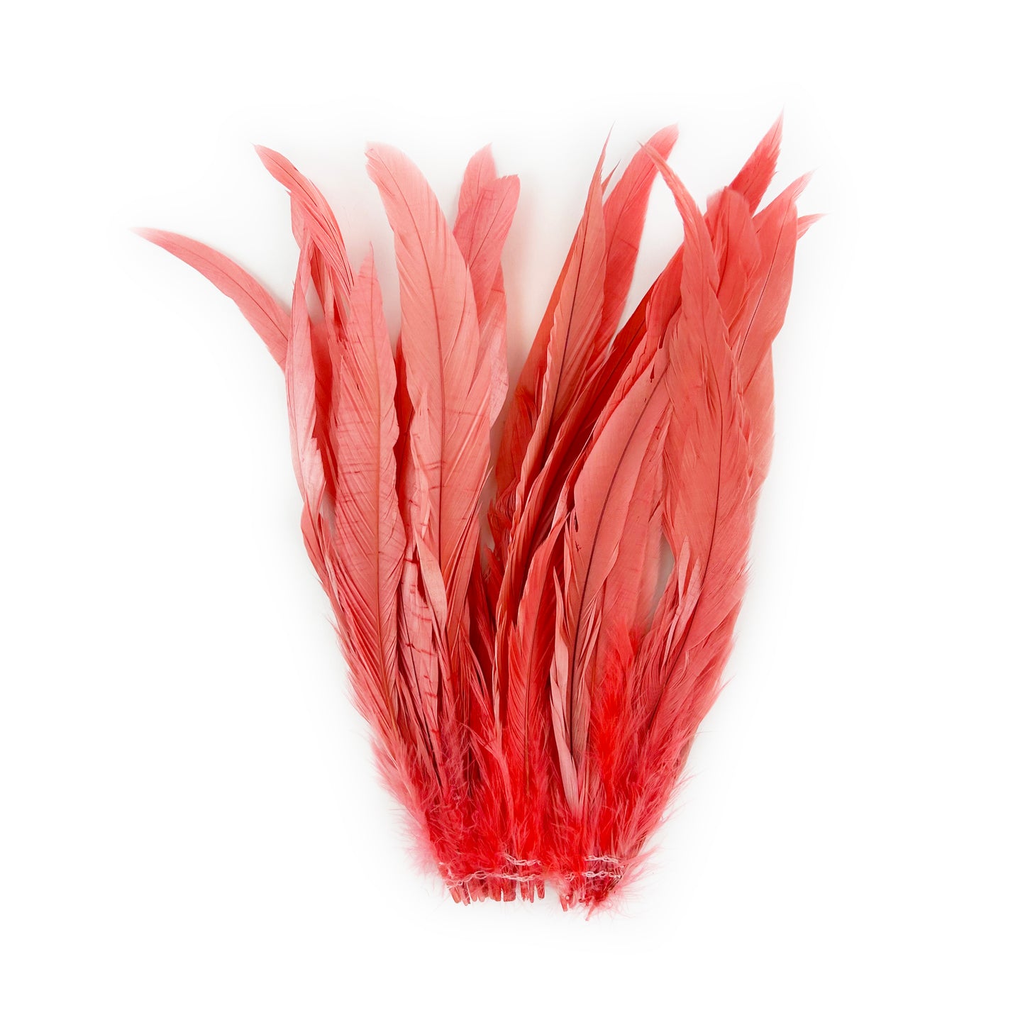 ROOSTER COQUE TAIL FEATHERS BLEACH DYED 7-10” - 25 PC/PKG - Coral