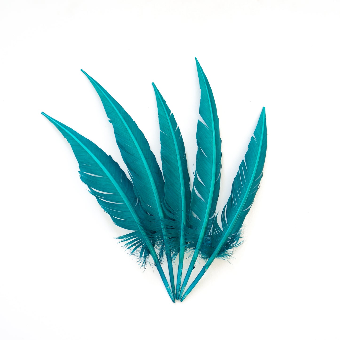 Dark Aqua Dagger Turkey Quill Feathers 9-12"