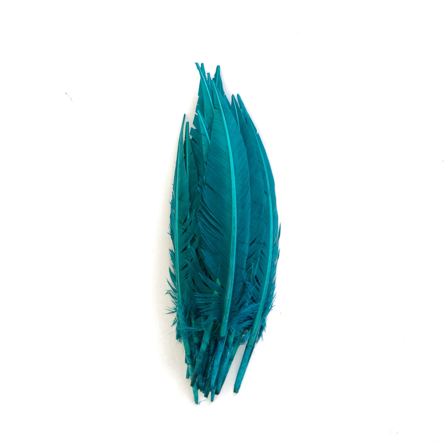 Dark Aqua Dagger Turkey Quill Feathers 9-12"