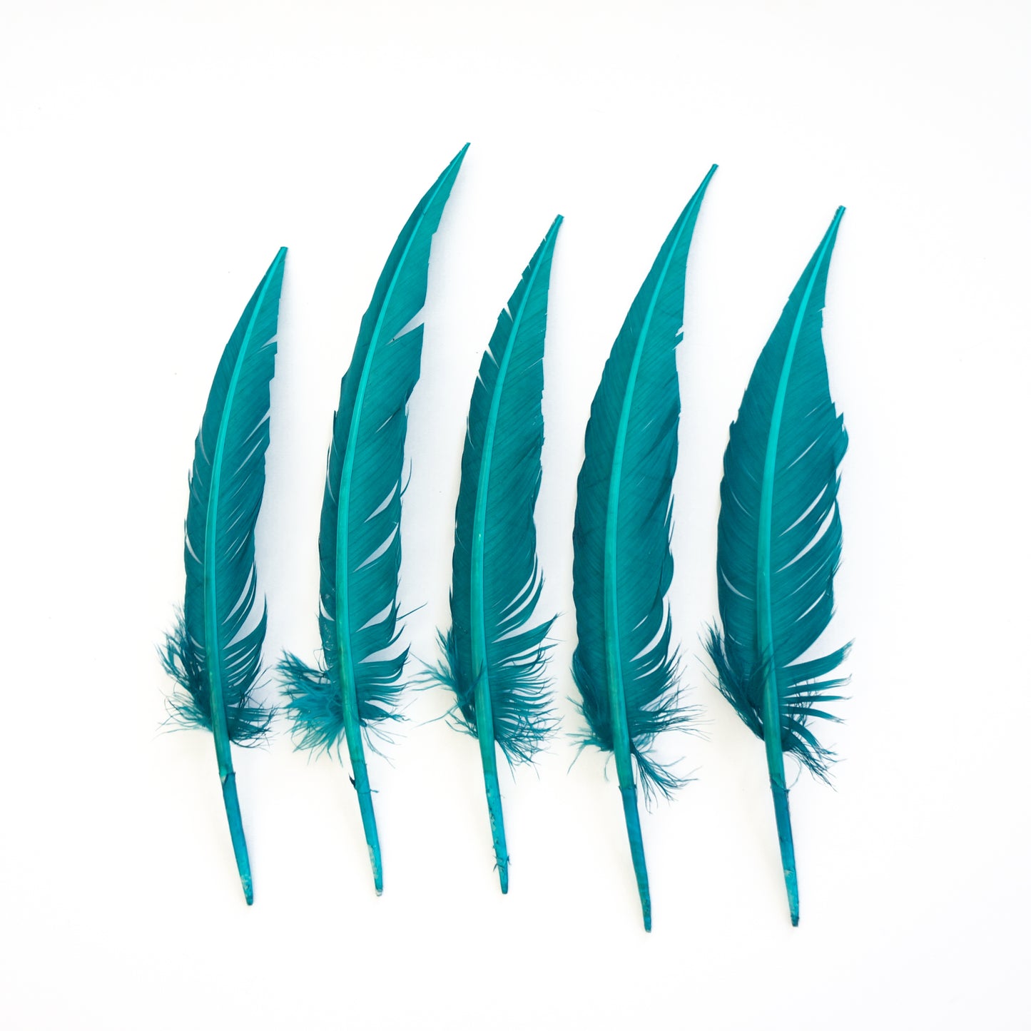Dark Aqua Dagger Turkey Quill Feathers 9-12"