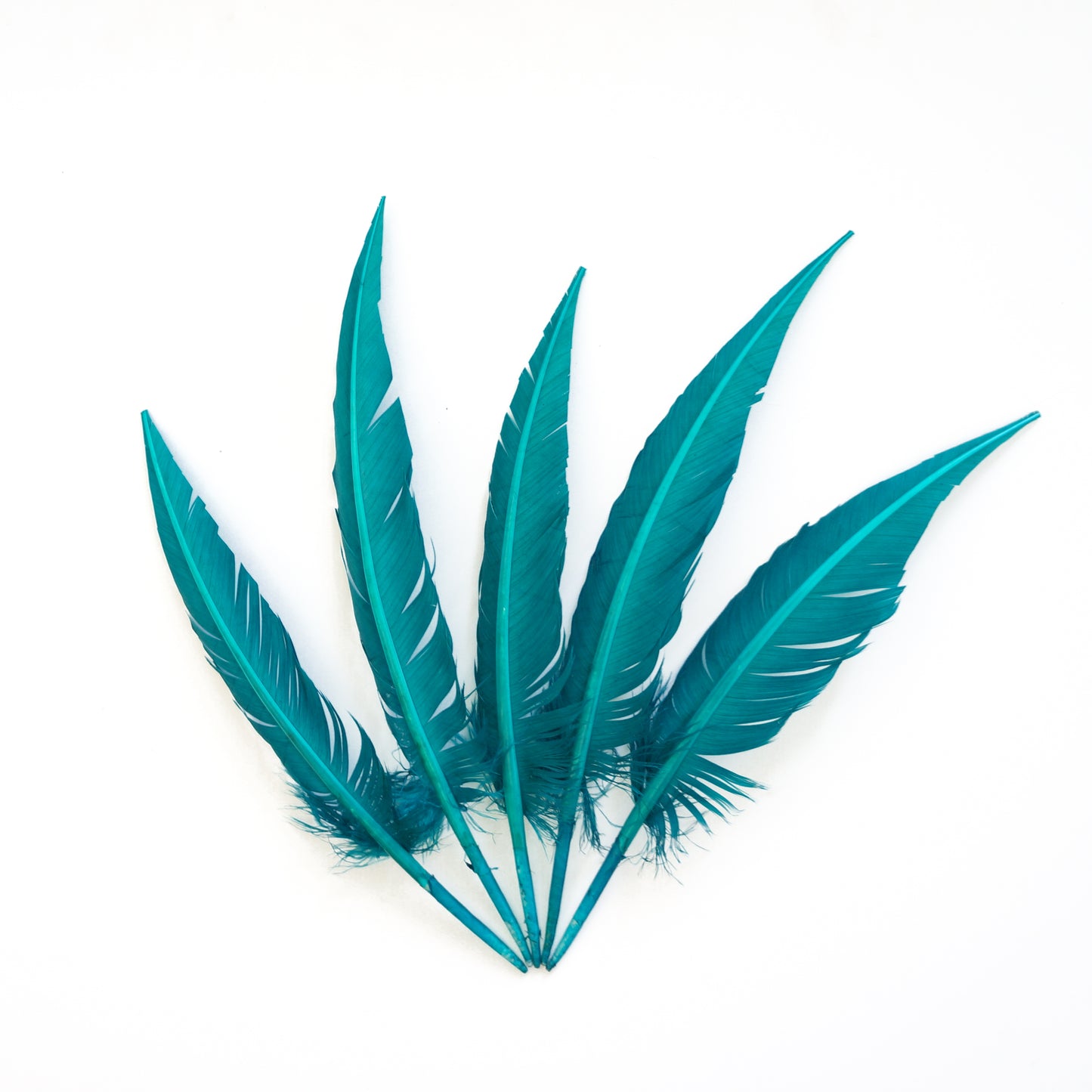 Dark Aqua Dagger Turkey Quill Feathers 9-12"