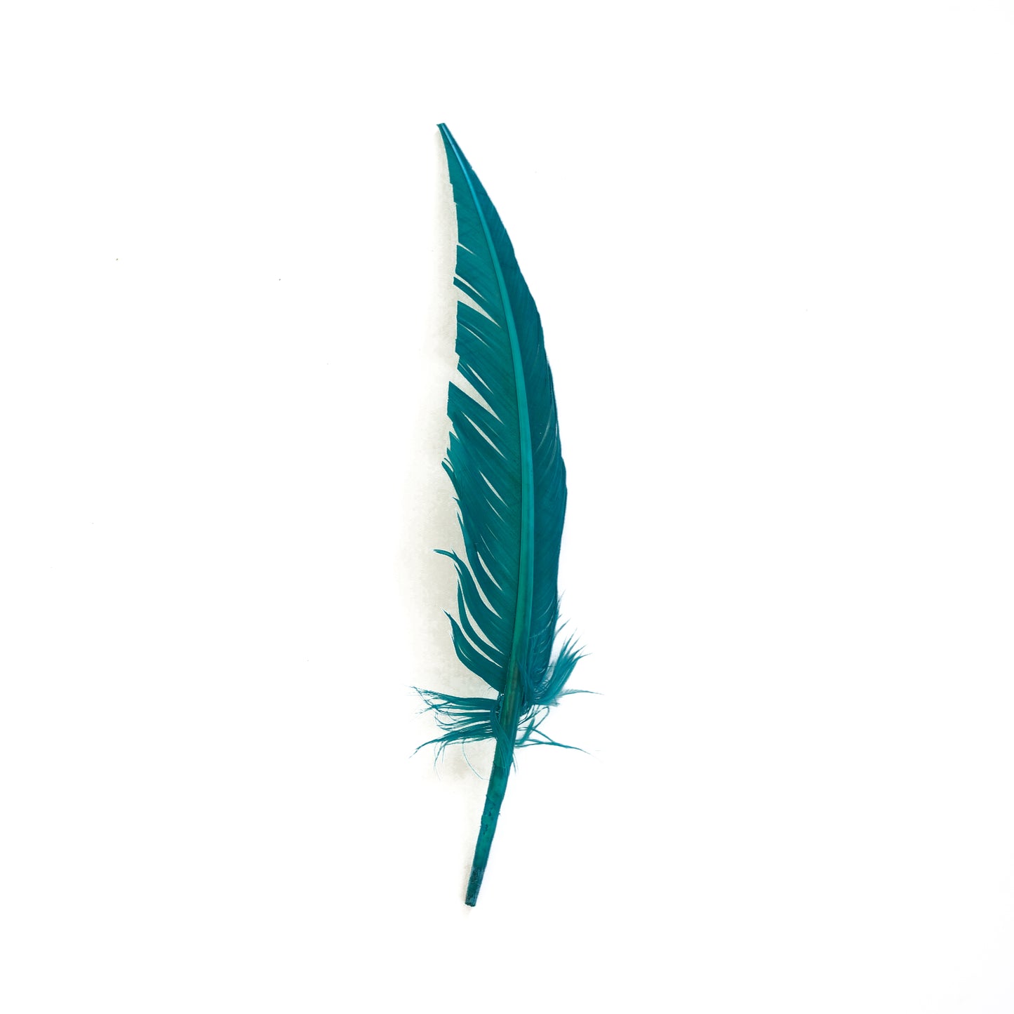 Dark Aqua Dagger Turkey Quill Feathers 9-12"