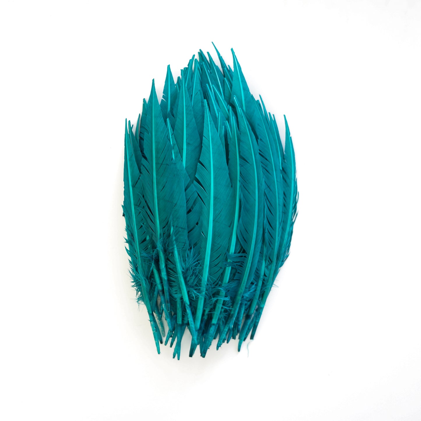 Dark Aqua Dagger Turkey Quill Feathers 9-12"