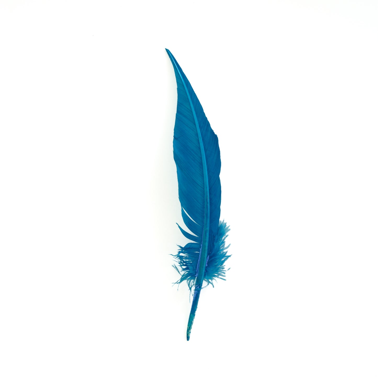 Dark Turquoise Dagger Turkey Quill Feathers 9-12"