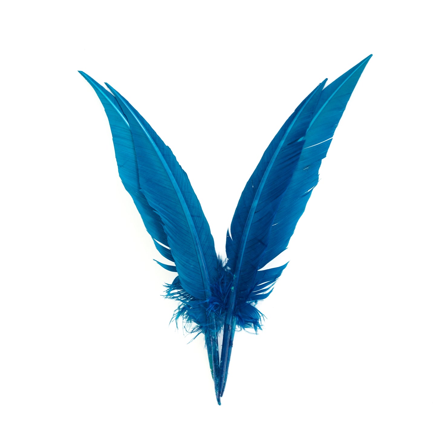 Dark Turquoise Dagger Turkey Quill Feathers 9-12"