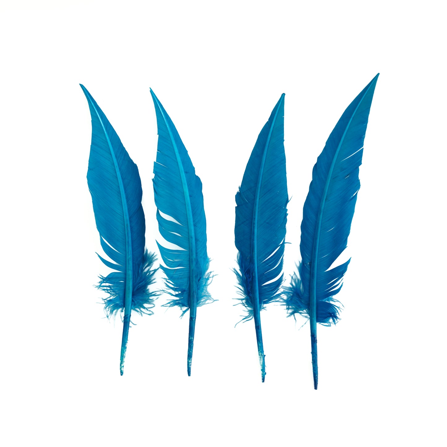 Dark Turquoise Dagger Turkey Quill Feathers 9-12"