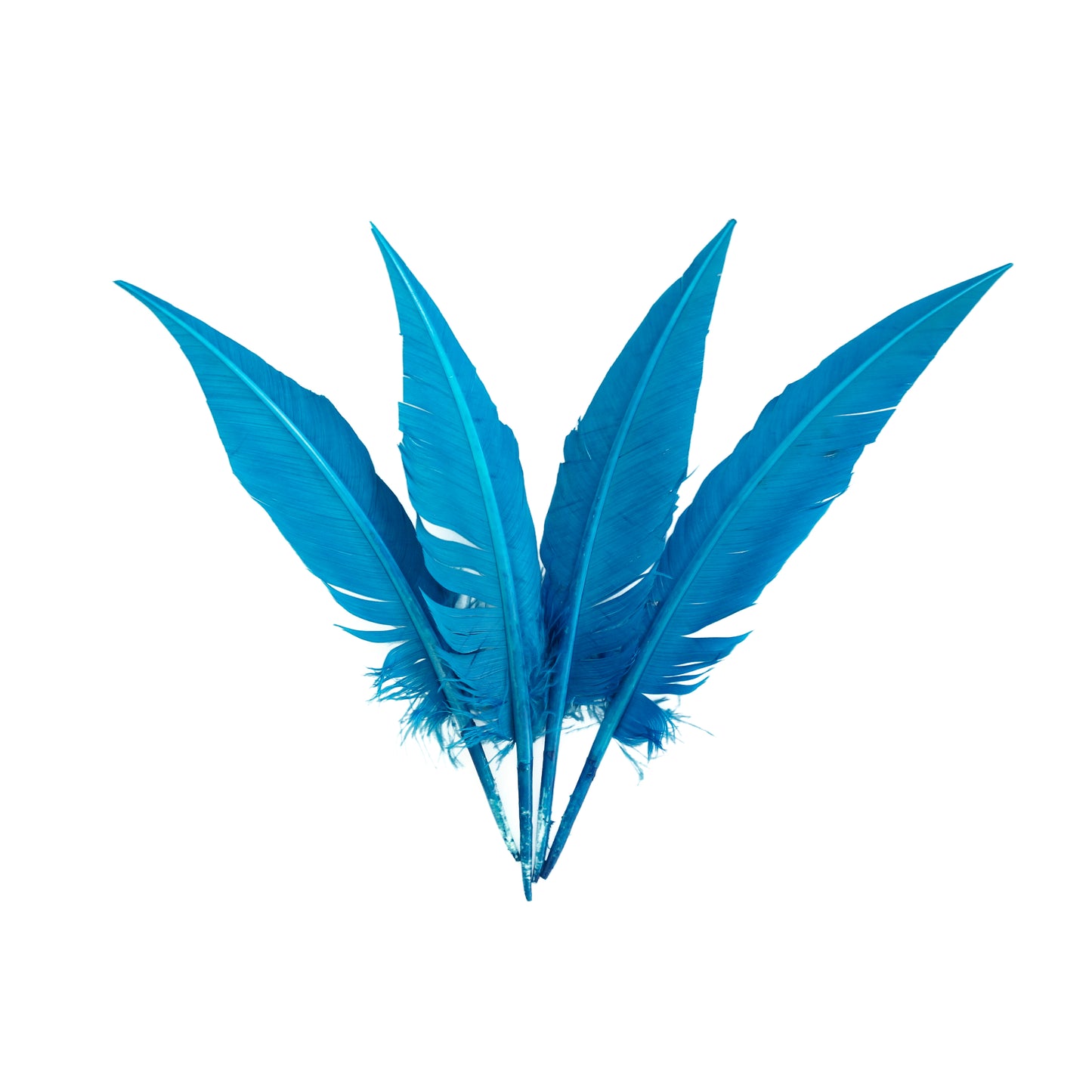 Dark Turquoise Dagger Turkey Quill Feathers 9-12"