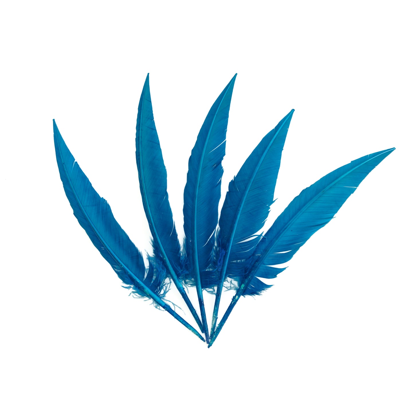 Dark Turquoise Dagger Turkey Quill Feathers 9-12"