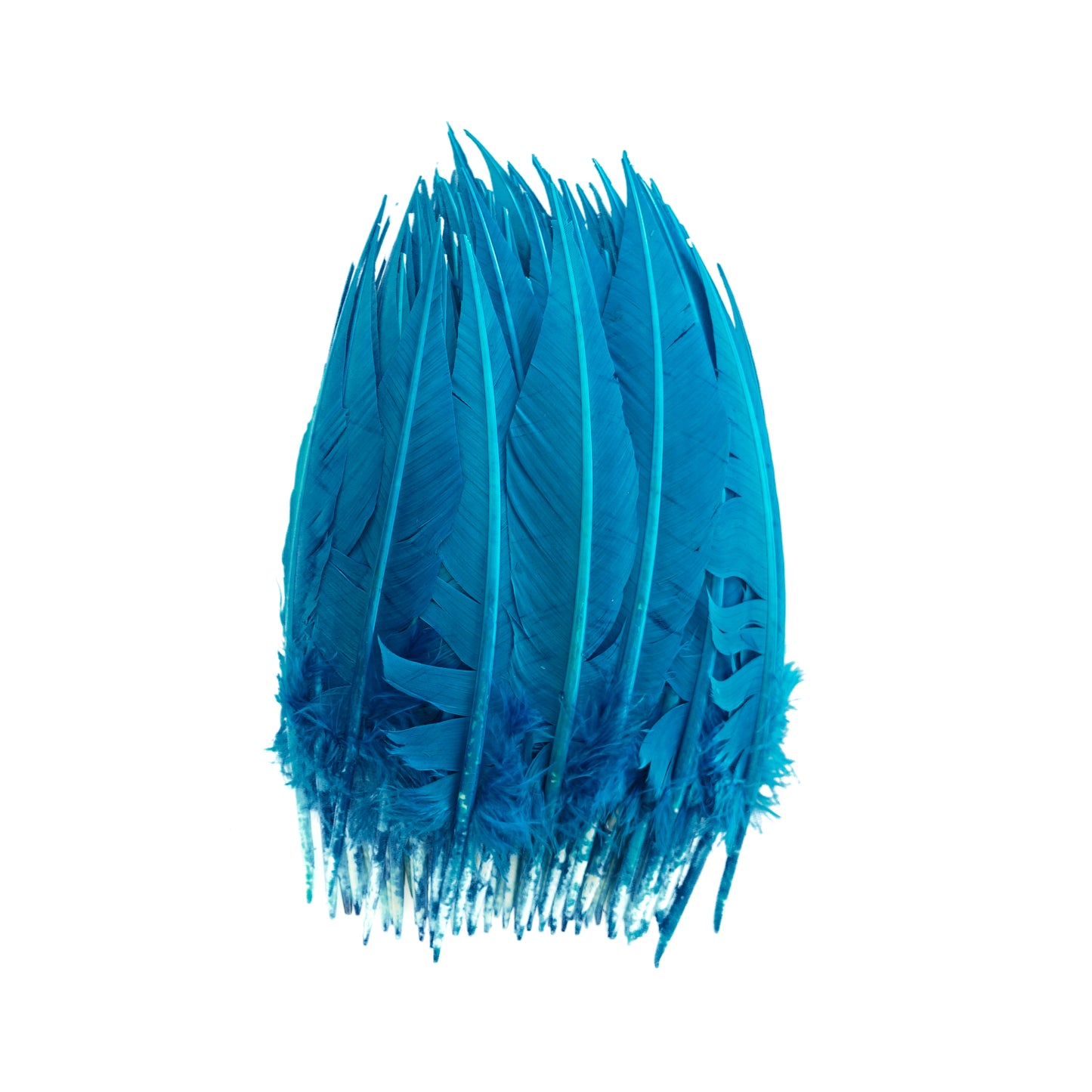 Dark Turquoise Dagger Turkey Quill Feathers 9-12"