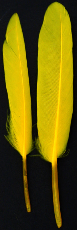 Duck Cosse Feathers - 3 - 6"-Yellow