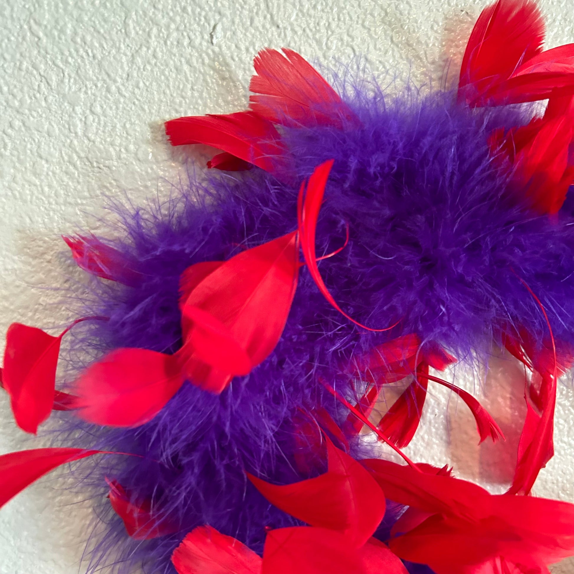 Decorative Red & Purple Feather Heart Shaped Wreath Wall Art - Feathers