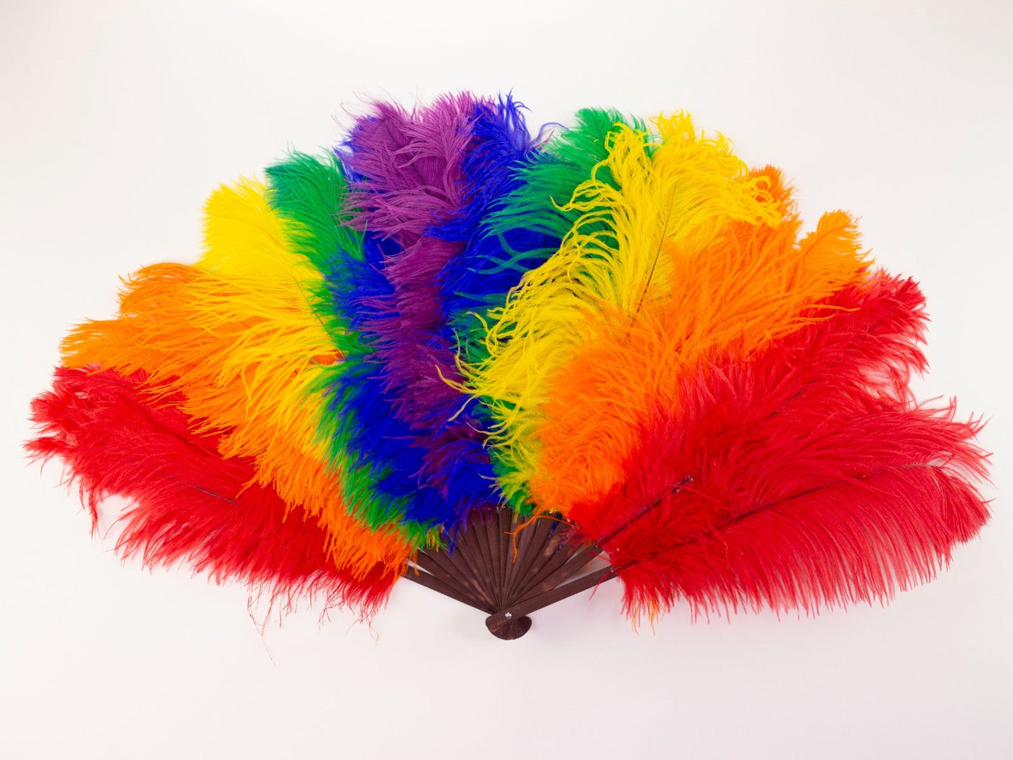 Double Rainbow Pride Fan - Feathers