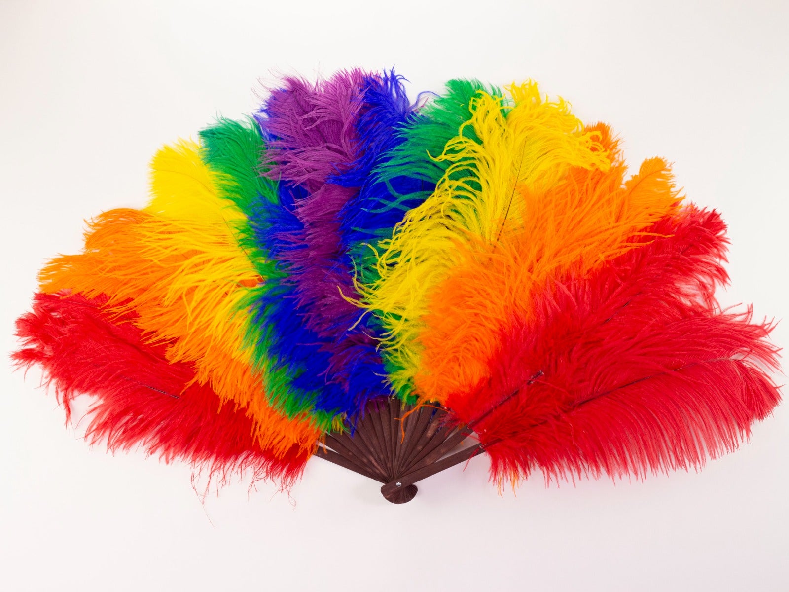 Double Rainbow Pride Fan - Feathers