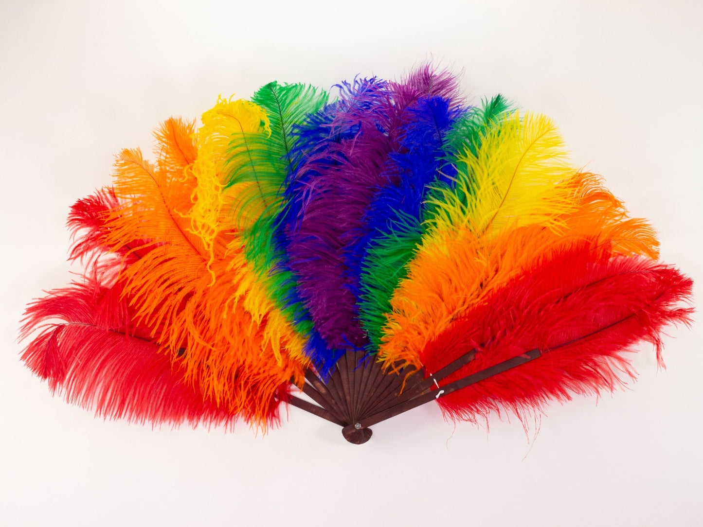 Double Rainbow Pride Fan - Feathers