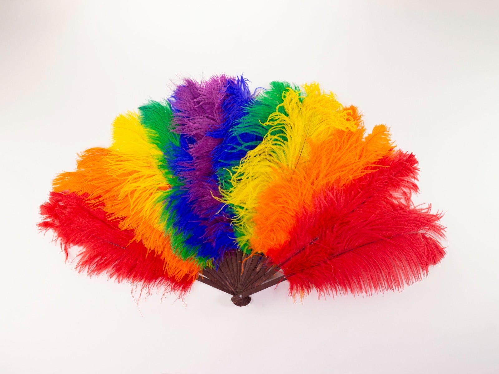 Double Rainbow Pride Fan - Feathers