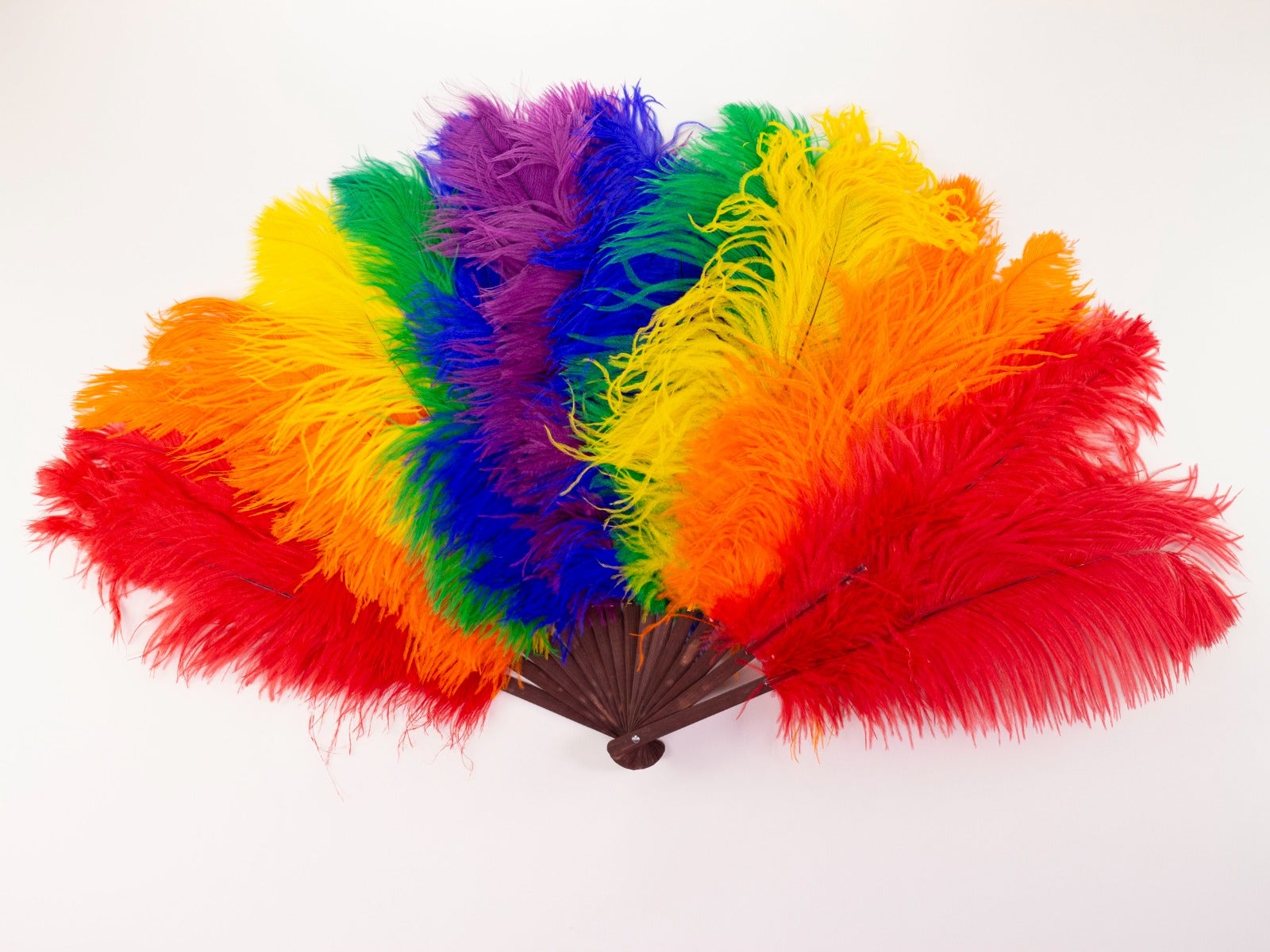 Double Rainbow Pride Fan - Feathers