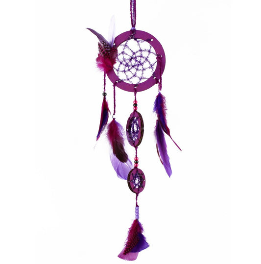 Dream Catcher Kit - Purple Gem - Feathers
