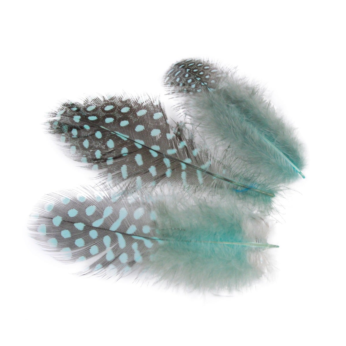 Dream Catcher Kit - Starlight - Feathers