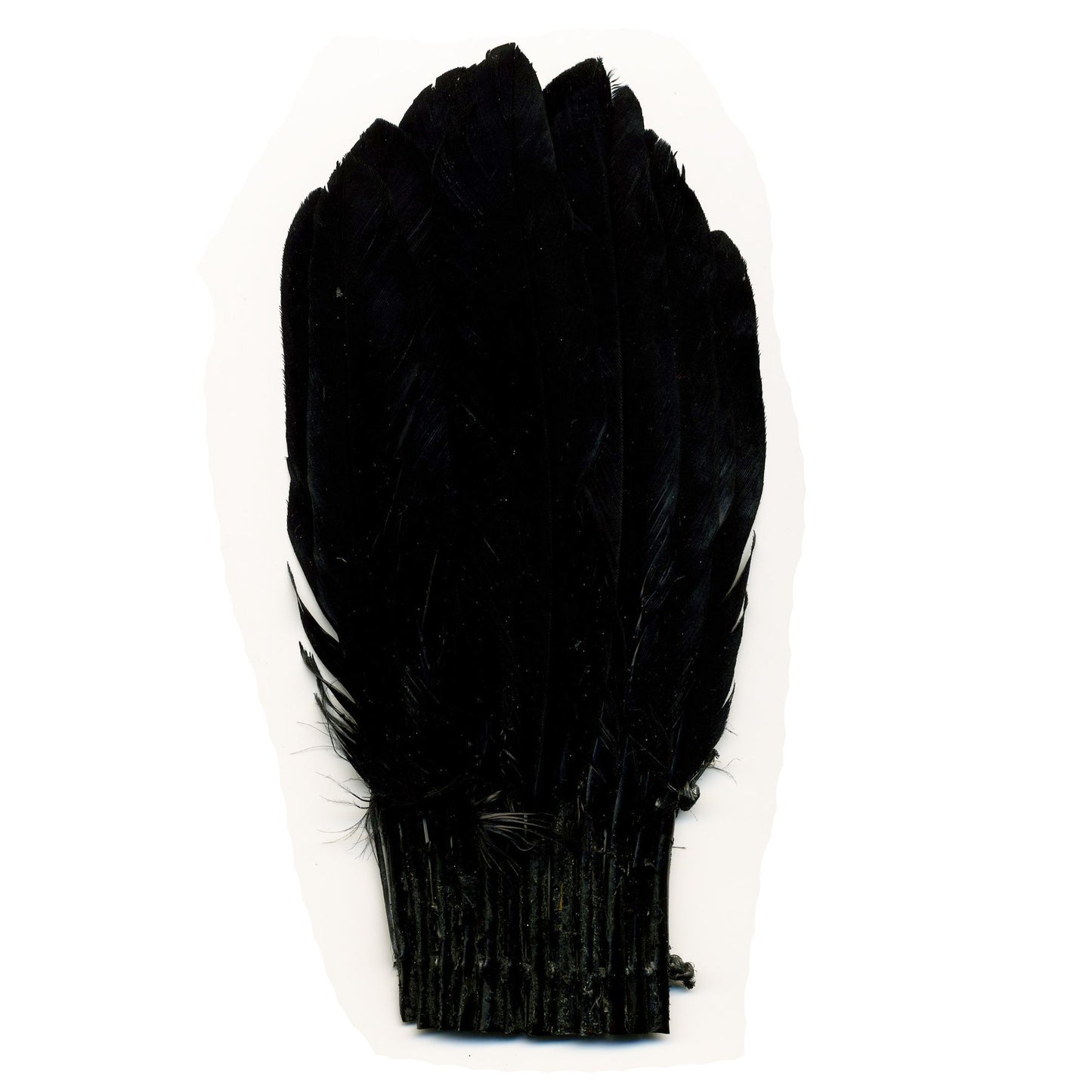 Duck Chockett Fan - Black - Feathers