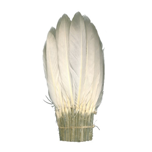 Duck Chockett Fan - White - Feathers