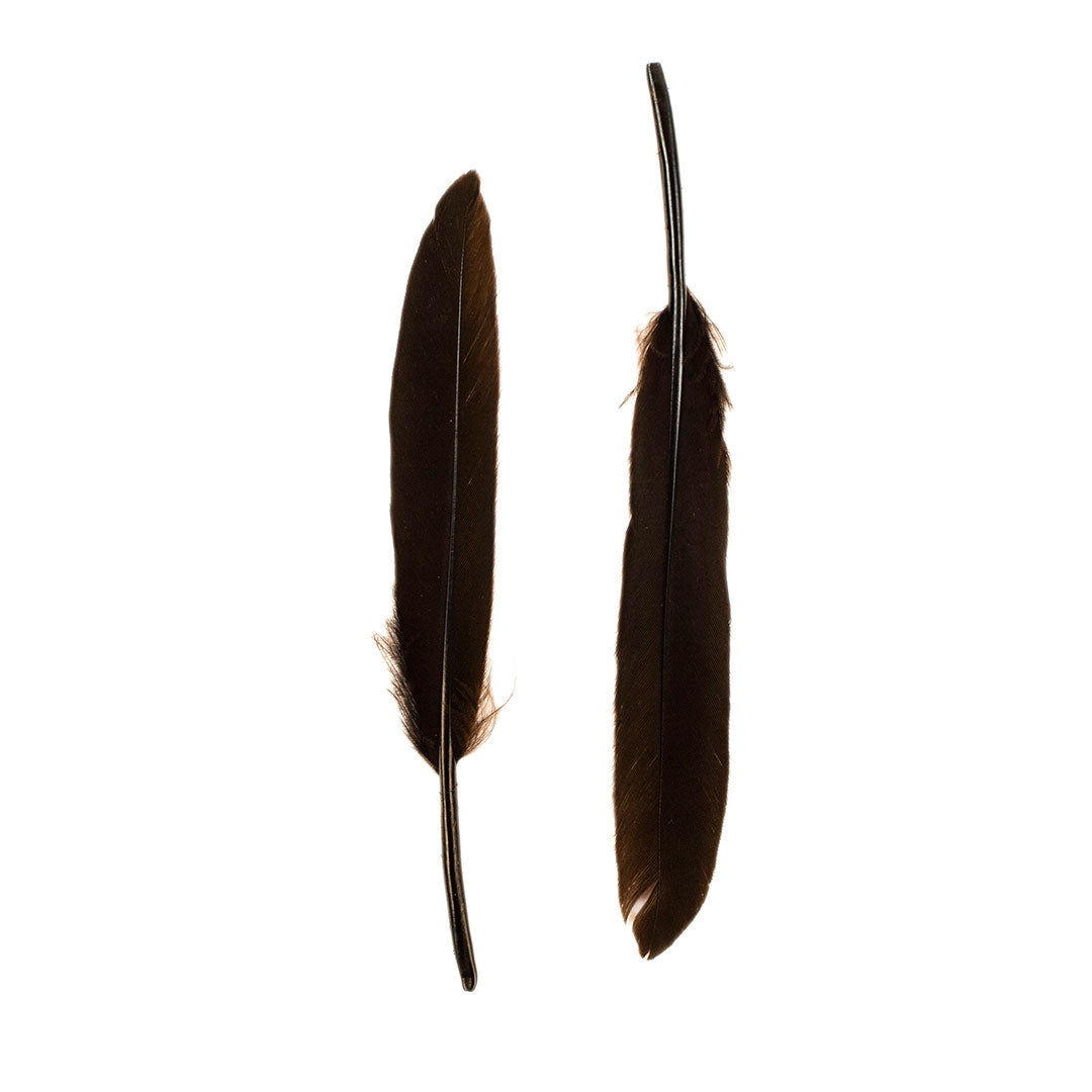 Duck Cosse Feathers - 3 - 6’’-Brown - Feathers