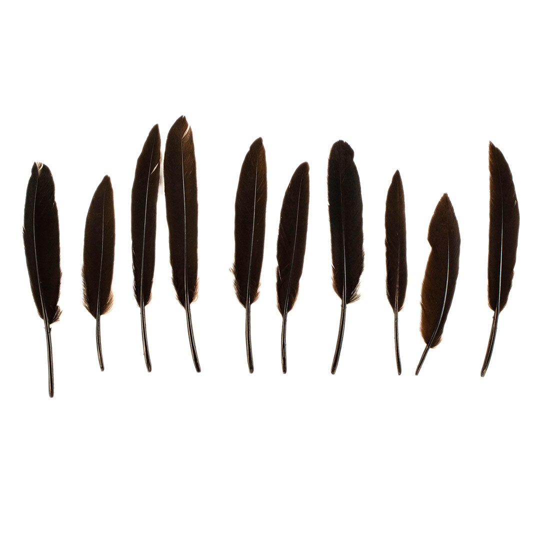 Duck Cosse Feathers - 3 - 6’’-Brown - Feathers