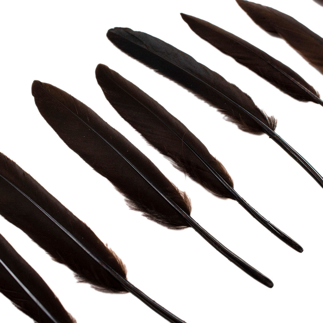 Duck Cosse Feathers - 3 - 6’’-Brown - Feathers