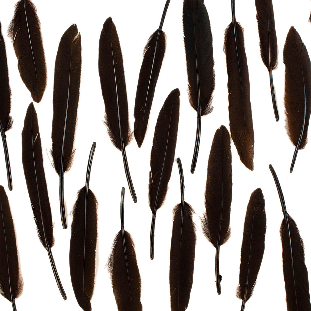 Duck Cosse Feathers - 3 - 6’’-Brown - Feathers