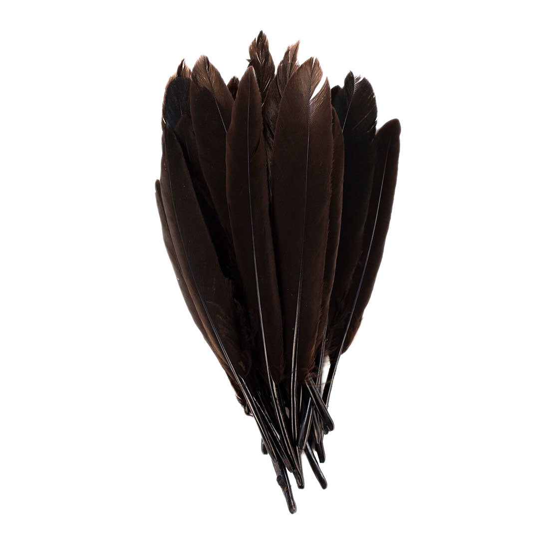 Duck Cosse Feathers - 3 - 6’’-Brown - Feathers