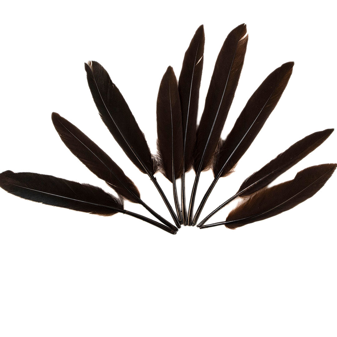 Duck Cosse Feathers - 3 - 6’’-Brown - Feathers