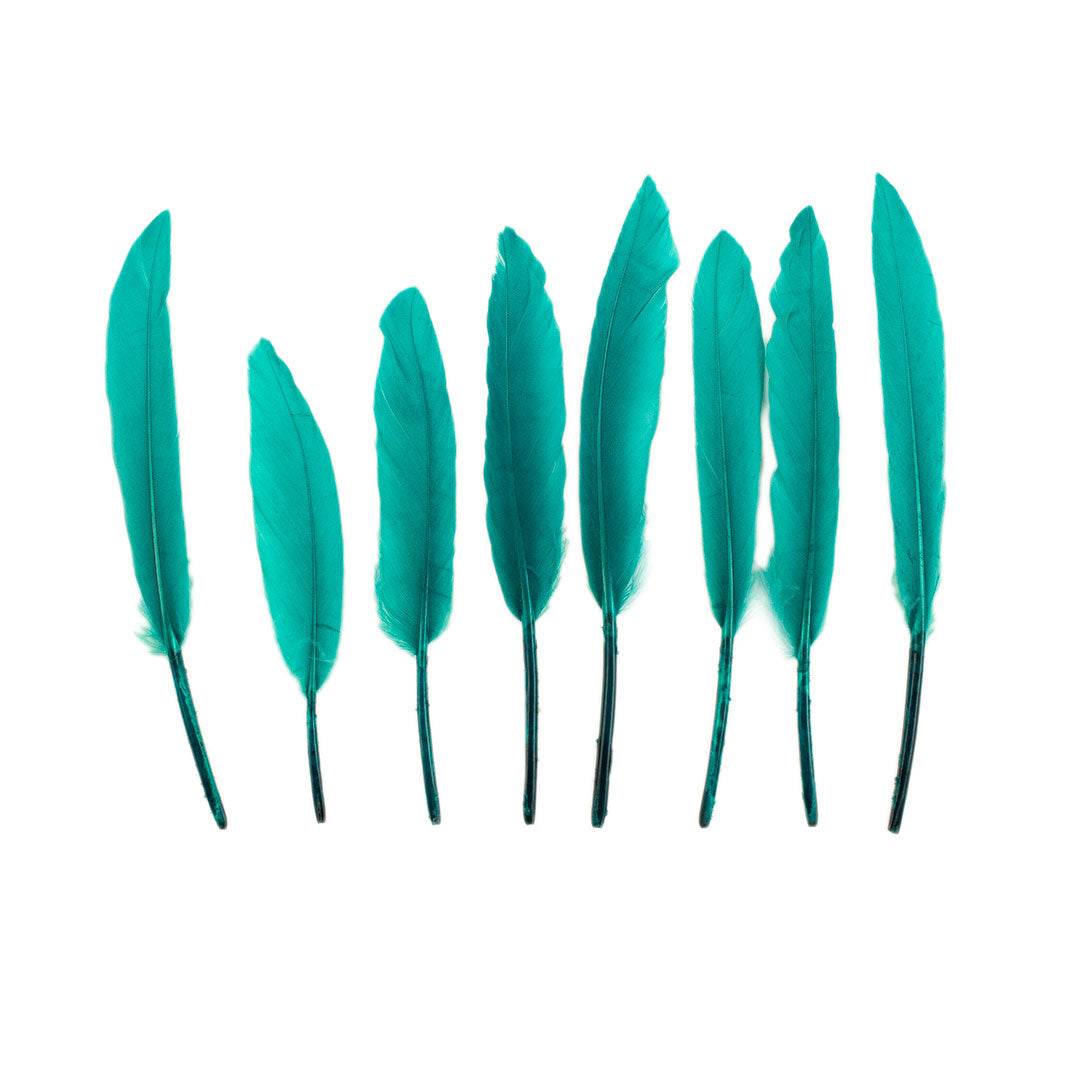 Duck Cosse Feathers - 3 - 6’’-Dark Aqua - Feathers