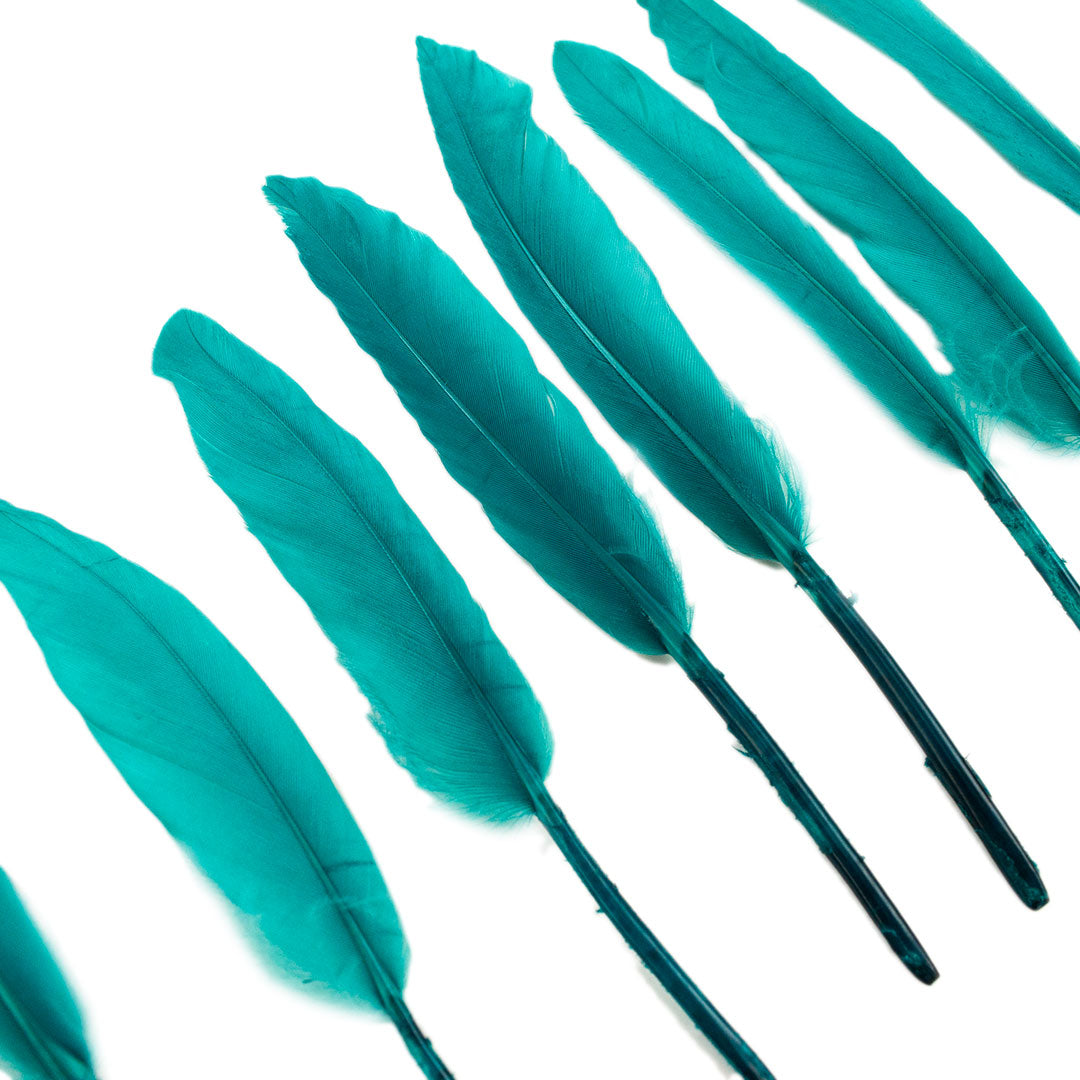 Duck Cosse Feathers - 3 - 6’’-Dark Aqua - Feathers