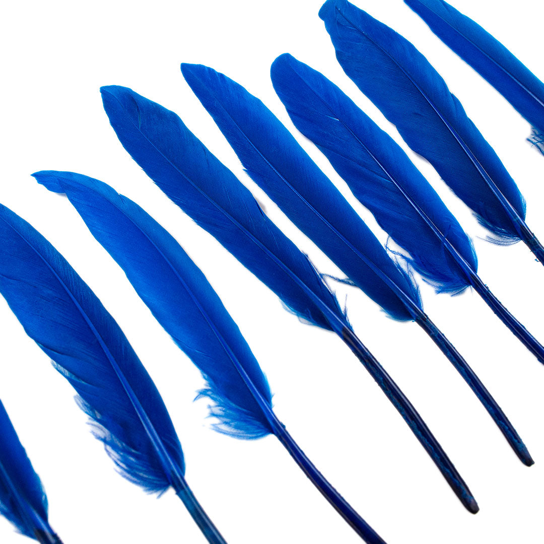 Duck Cosse Feathers - 3 - 6’’-Dark Turquoise - Feathers