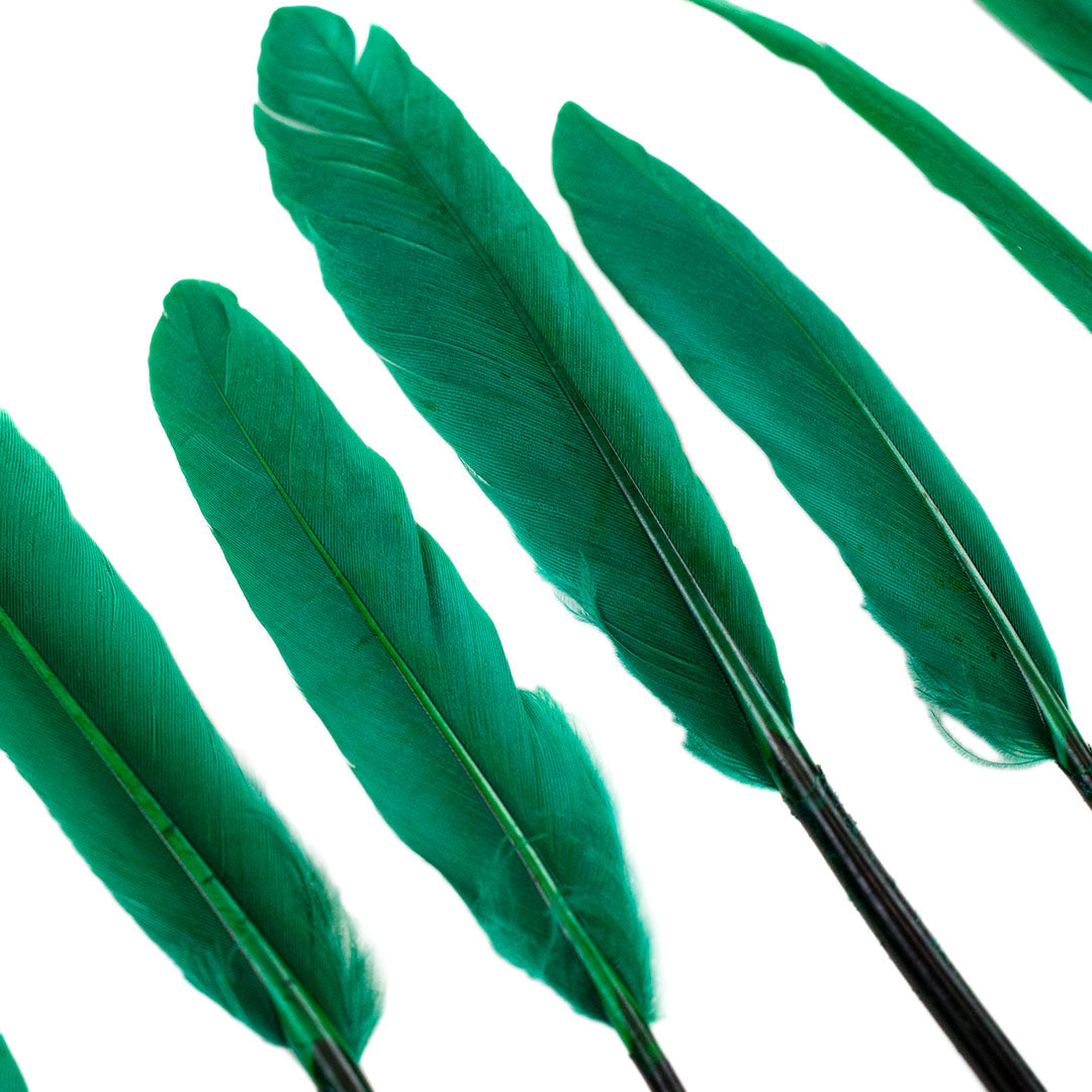 Duck Cosse Feathers - 3 - 6’’-Kelly - Feathers