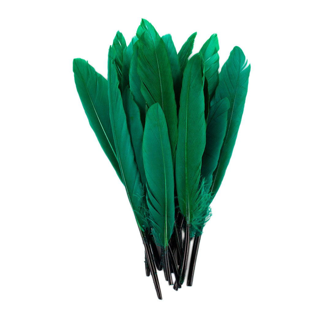 Duck Cosse Feathers - 3 - 6’’-Lime - Feathers