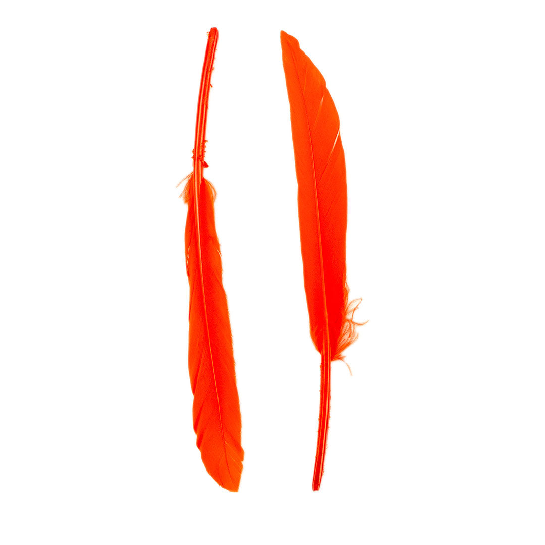 Duck Cosse Feathers - 3 - 6’’-Orange - Feathers