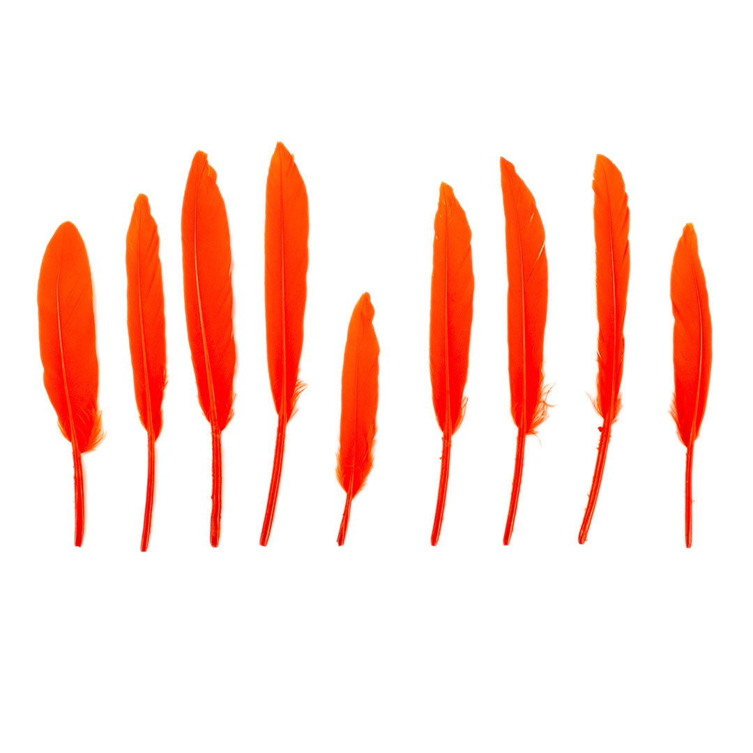 Duck Cosse Feathers - 3 - 6’’-Orange - Feathers