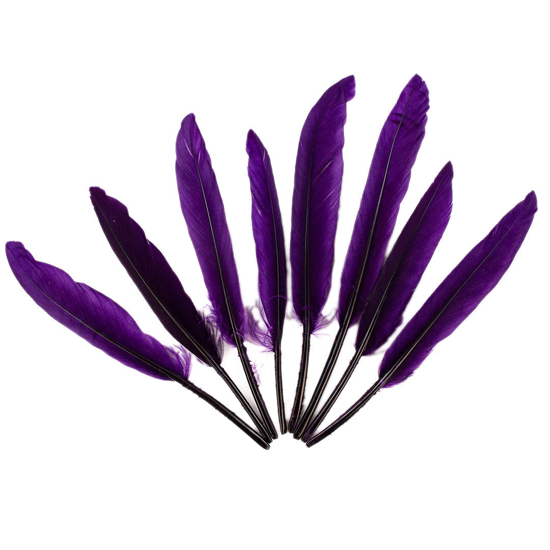 Duck Cosse Feathers - 3 - 6’’-Purple - Feathers