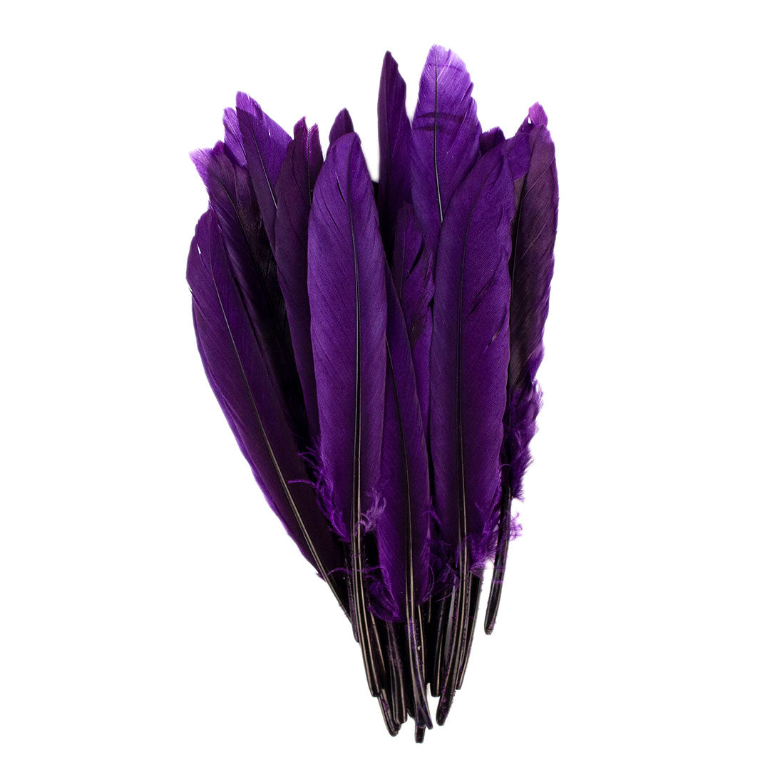 Duck Cosse Feathers - 3 - 6’’-Purple - Feathers