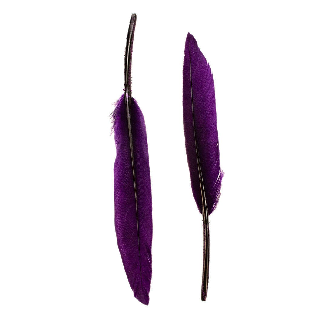 Duck Cosse Feathers - 3 - 6’’-Purple - Feathers