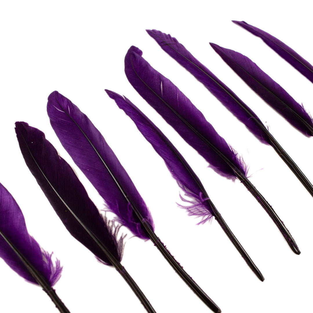 Duck Cosse Feathers - 3 - 6’’-Purple - Feathers