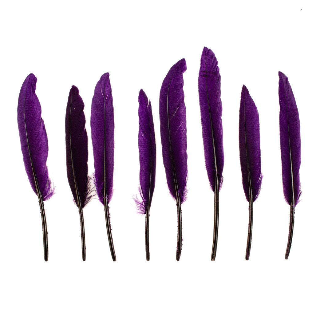 Duck Cosse Feathers - 3 - 6’’-Purple - Feathers