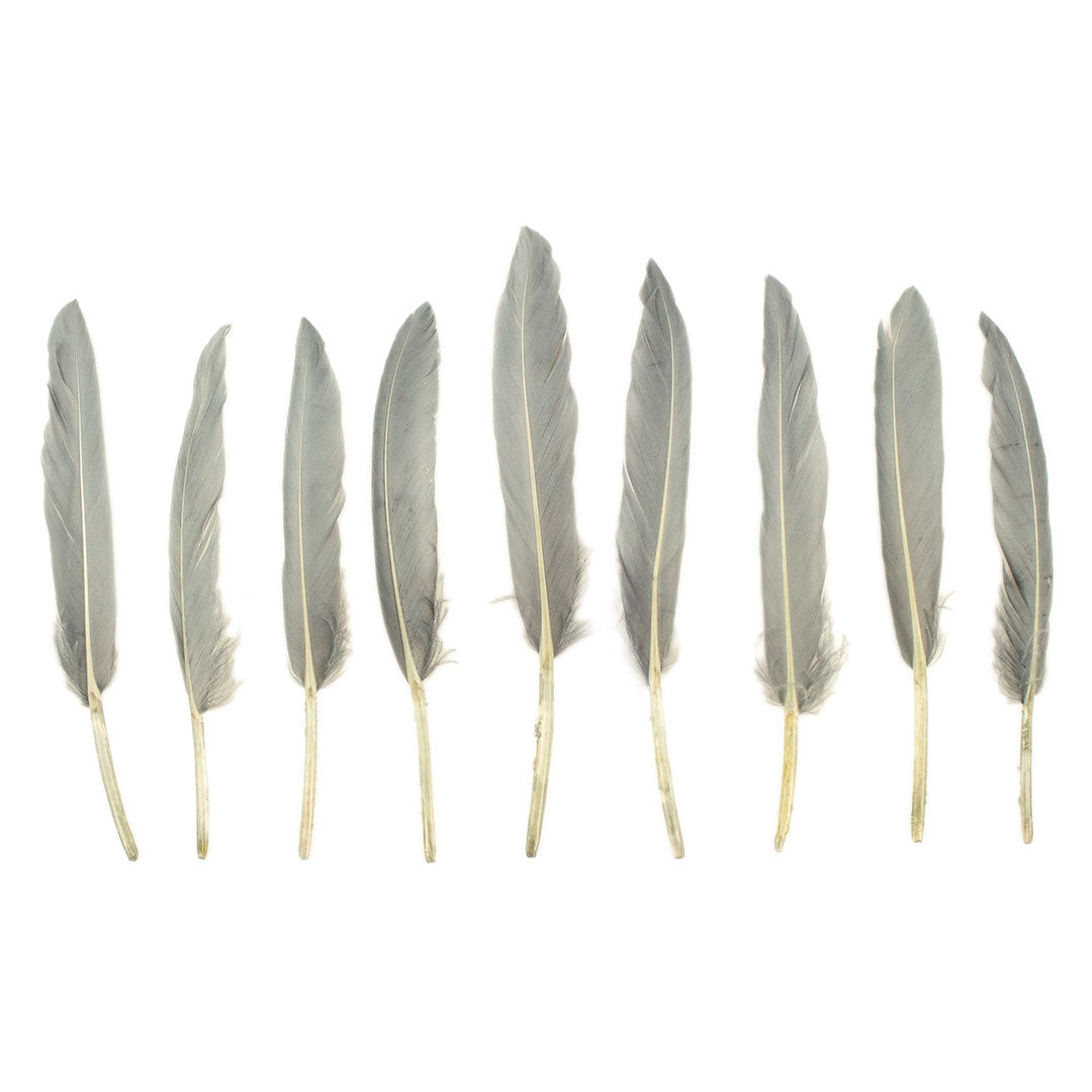 Duck Cosse Feathers - 3 - 6’’-Silver - Feathers