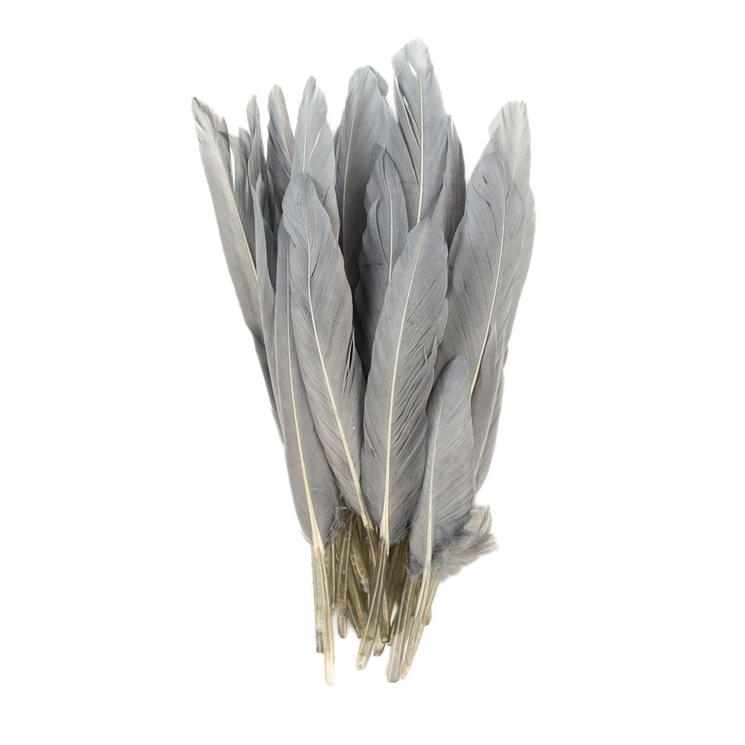 Duck Cosse Feathers - 3 - 6’’-Silver - Feathers