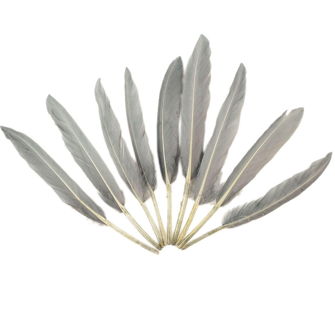 Duck Cosse Feathers - 3 - 6’’-Silver - Feathers