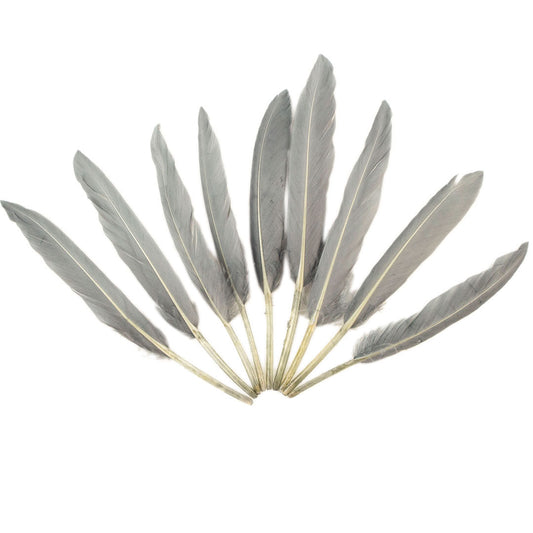 Duck Cosse Feathers - 3 - 6’’-Silver - Feathers